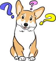 Welsh Corgi sticker #600778