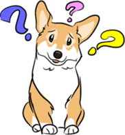 Welsh Corgi sticker #600778