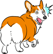 Welsh Corgi sticker #600779