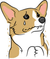 Welsh Corgi sticker #600784