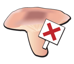 Mushroom sticker #603595