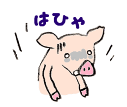Kune-Pig sticker #603610