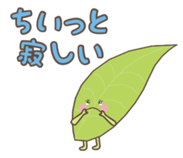 Ochanoko in Shizuoka (Children of tea) sticker #606090