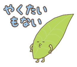 Ochanoko in Shizuoka (Children of tea) sticker #606106