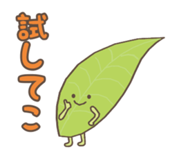 Ochanoko in Shizuoka (Children of tea) sticker #606112