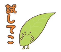 Ochanoko in Shizuoka (Children of tea) sticker #606112