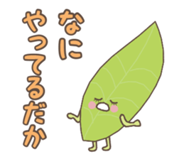 Ochanoko in Shizuoka (Children of tea) sticker #606119