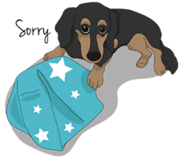 Cute Dachshund Ryu!! sticker #606343