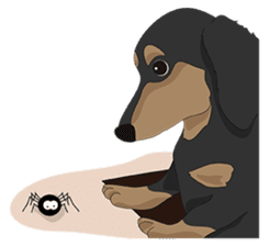 Cute Dachshund Ryu!! sticker #606350