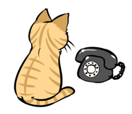 relaxed tabby cat sticker #606658