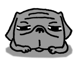 Black Pug ANKO sticker #607846