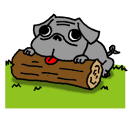Black Pug ANKO sticker #607848