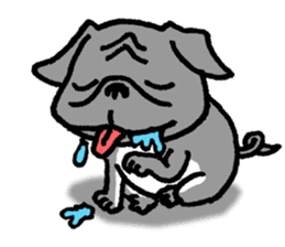 Black Pug ANKO sticker #607853