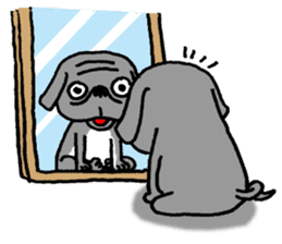 Black Pug ANKO sticker #607855