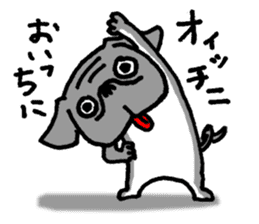 Black Pug ANKO sticker #607860