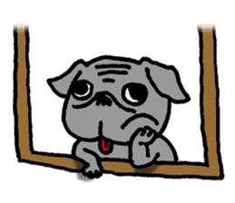 Black Pug ANKO sticker #607862