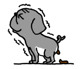 Black Pug ANKO sticker #607863