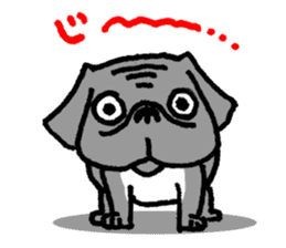 Black Pug ANKO sticker #607865