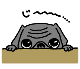 Black Pug ANKO sticker #607867