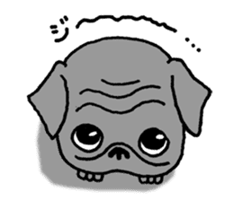 Black Pug ANKO sticker #607869