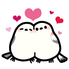 White Long-tailedTit [Shima & Yuki]