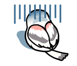 White Long-tailedTit [Shima & Yuki] sticker #612013
