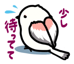 White Long-tailedTit [Shima & Yuki] sticker #612023