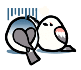 White Long-tailedTit [Shima & Yuki] sticker #612036