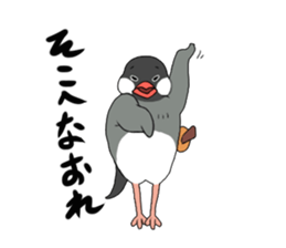 My name is Bird. sticker #612207