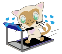 Siamy Cat sticker #612465