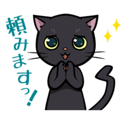 BLACK CAT sticker #614467