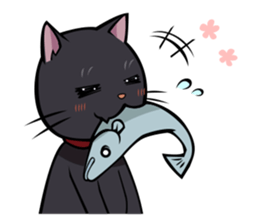 BLACK CAT sticker #614471