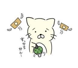 Suzuki socks cat sticker #614859