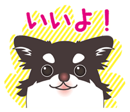 Chihuahua Egg sticker #615564