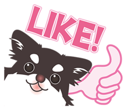 Chihuahua Egg sticker #615566