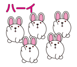 circle face 10 rabbit 1 : for japanese sticker #619119