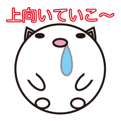 Looking up to the blue sky