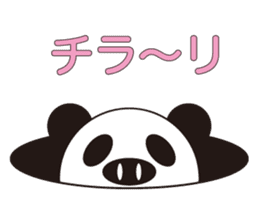 circle face 4 pig-panda : for japanese sticker #619726
