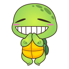 Pura, the cool and funny turtle