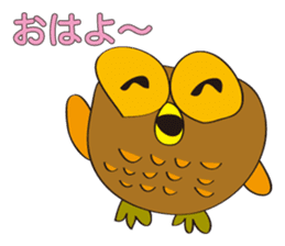 circle face owl : drawn by hand sticker #621522