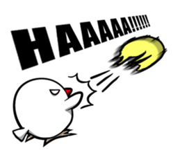 Cockatiel and Java Sparrow sticker #621642