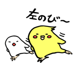 Cockatiel and Java Sparrow sticker #621647