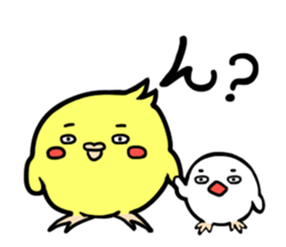 Cockatiel and Java Sparrow sticker #621649