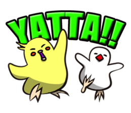 Cockatiel and Java Sparrow sticker #621651