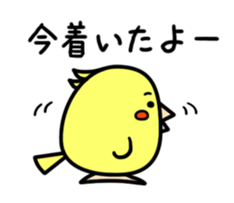 Cockatiel and Java Sparrow sticker #621658