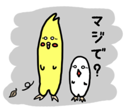 Cockatiel and Java Sparrow sticker #621672