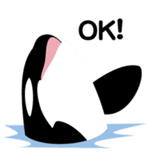 ORCAS ALL OVER!! sticker #622962