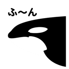 ORCAS ALL OVER!! sticker #622967