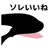 ORCAS ALL OVER!! sticker #622970