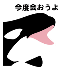 ORCAS ALL OVER!! sticker #622982